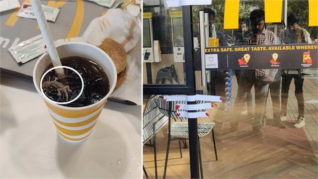 Video में देखें McDonalds की बड़ी लापरवाही, कोल्ड ड्रिंक में मिली तैरती हुई  मरी छिपकली -amp