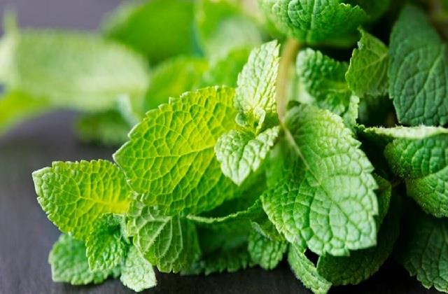 न जाएगी महक और न ही खराब होगा पुदीना, फ्रेश रखने के काम आएंगे ये Kitchen Hacks