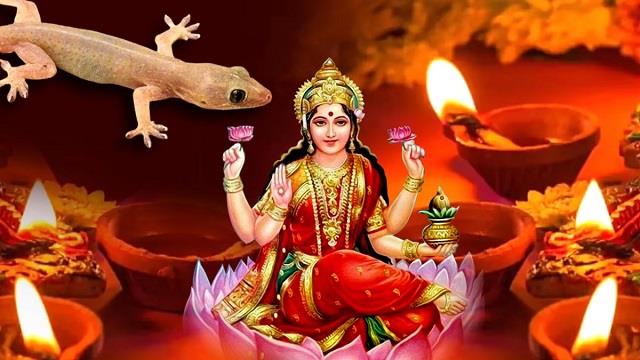 दिवाली पर छिपकली दिखना: शुभ संकेत या अशुभ इशारा? यहां जानें धार्मिक मान्यताएं