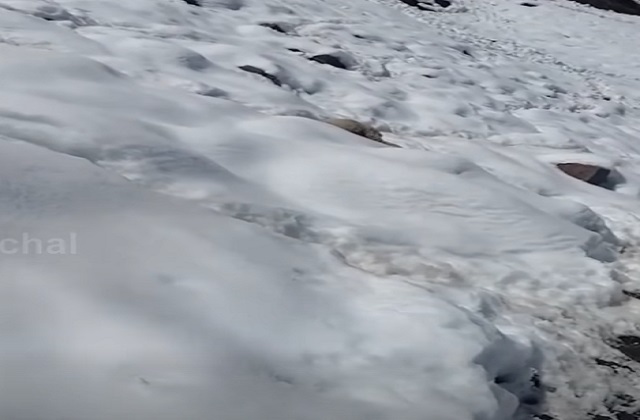 PunjabKesari Winter Vacation Spots India