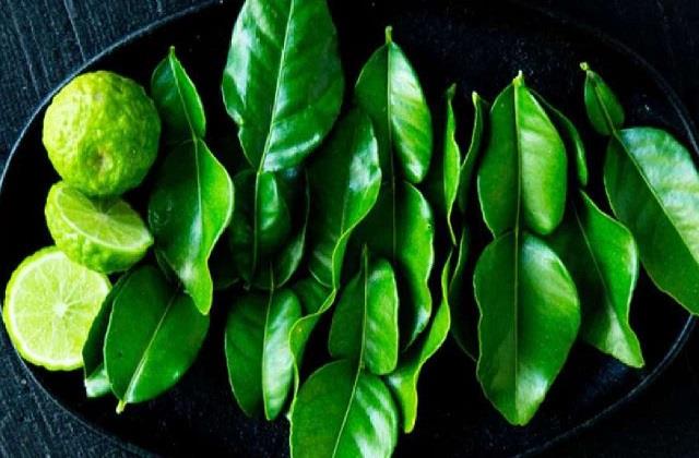 सिर्फ सूंघने से ही सिरदर्द होगा गायब, पीने से मर जायेंगे पेट के कीड़े इतना असरदार है ये पत्ता