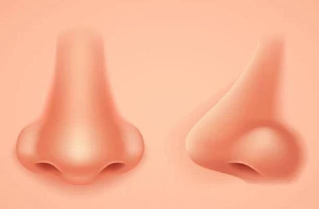 ऐसी नाक वाले लोगों को आता है ज्यादा गुस्सा, Nose shape  बता देती है इंसान की रियल पर्सनालिटी