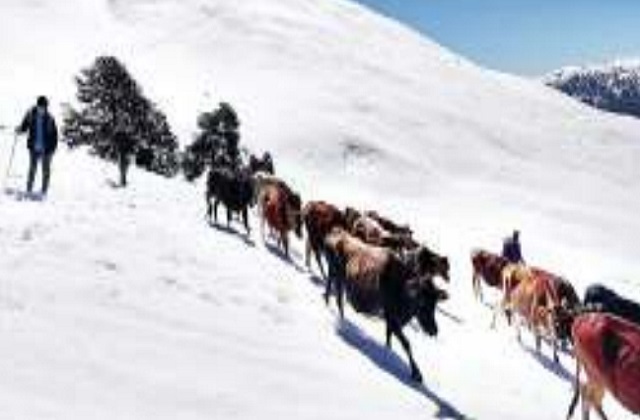 PunjabKesari Winter Vacation Spots India