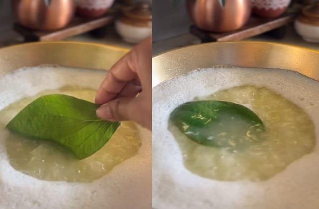 घी बनाते समय क्यों डाला जाता है पान का पत्ता? फायदे जानकर आप भी अपनाएंगें ये नुस्खा!