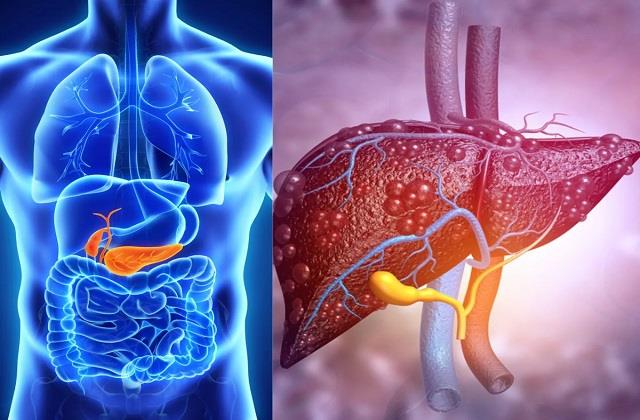 फैटी लिवर की दुश्मन हैं ये 5 हरी सब्जियां, खाते ही घटने लगेगा फैट और सूजन