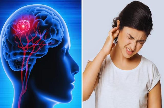 अगर ये लक्षण रोज दिखे तो समझ लें Brain सही से काम नहीं कर रहा, नसों  में चल रही गड़बड़