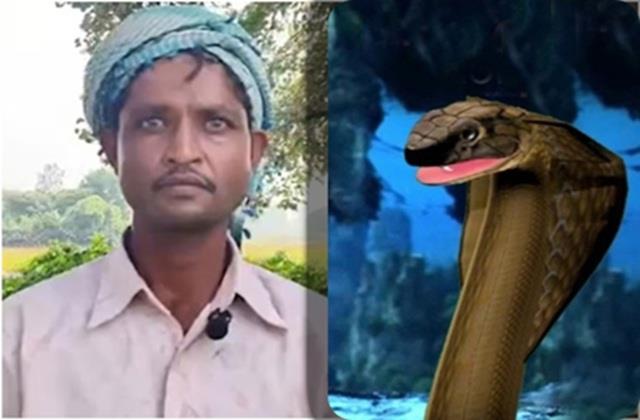 दिन में बीवी और रात में नागिन बन जाती है महिला, पति बोला- मुझे मेरी पत्नी से बचा लो