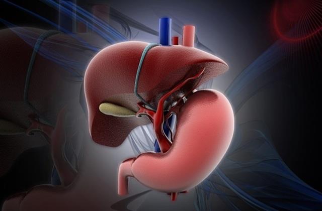 लिवर के रोग हैं Silent Killer, भारत में हर तीसरे व्यक्ति को हो रही इससे जुड़ी कोई बीमारी