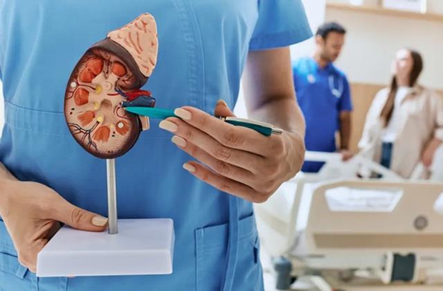 संभल जाइए! भारत में एक साल में 15 लाख लोगों की गई kidney रोग के कारण जान