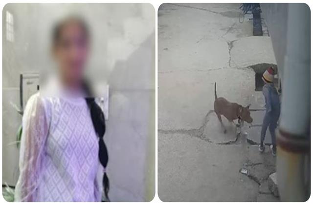 कहीं रेप तो कहीं कुत्तों का अटैक.... अपने घराें के बाहर भी सुरक्षित नहीं है बच्चे, कौन है इसका जिम्मेदार?