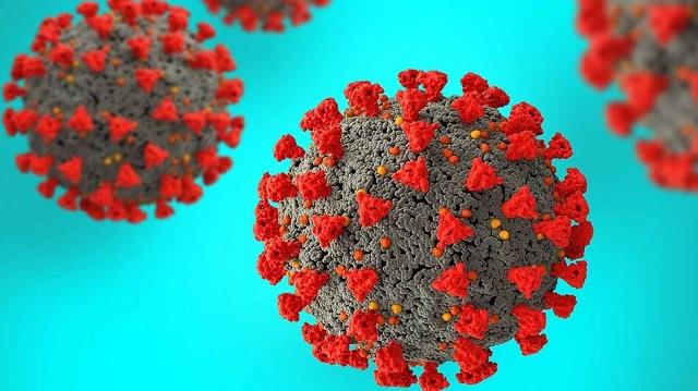 H5N5 वायरस: क्या कोरोना से भी ज्यादा खतरनाक है नया फ्लू वेरिएंट?