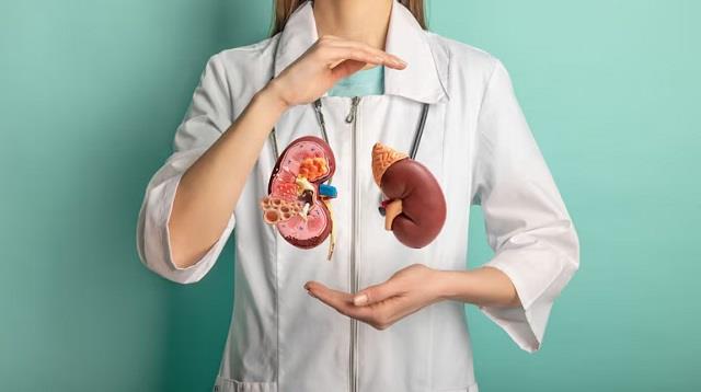 किडनी खराब कर सकती हैं ये 5 दवाएं, मजे से खा रहे लोग...जानें कैसे बचें