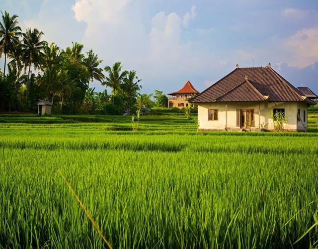 भूत-प्रेत नहीं भूमि दोष के कारण भी होती है घर में अजीब घटनाएं, लड़ाई-झगड़े हैं इसका पहला संकेत