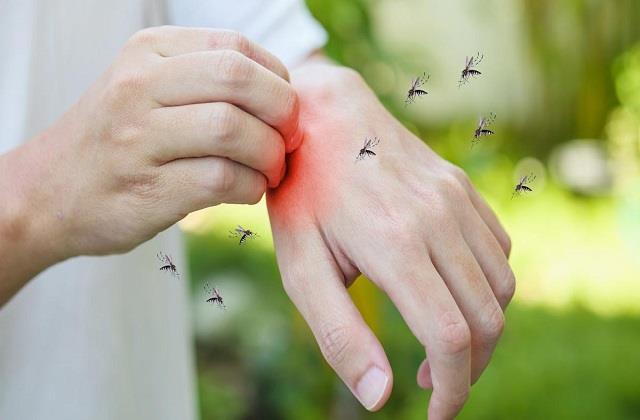 मच्छरों के लिए काल है प्याज से बना ये दीपक, जलाते ही एक मिनट में ढेर हो जाएंगे मच्छर