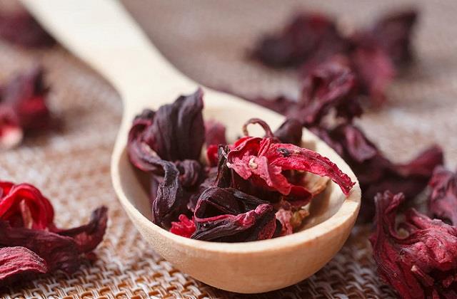 1 इंच भी नहीं बढ़ रही है बालों की ग्रोथ? ये लाल फूल लगाने के बाद होंगी लंबी और घनी चोटी