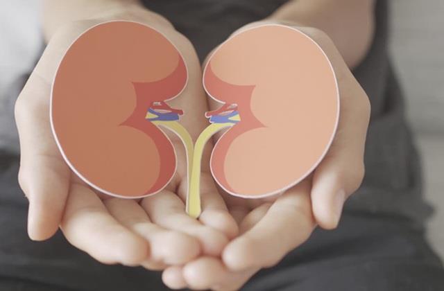 लालची पति ने 11 लाख में किया पत्नी की किडनी का सौदा, ऑपरेशन से पहली खुली पोल