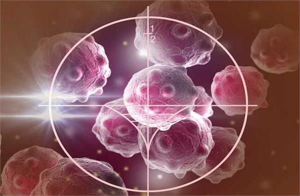 Cancer होने के 5 सबसे बड़े कारण, इससे बच जाओ... बीमारी दूर रहेगी