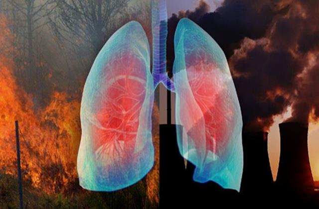 कोरोना के बाद भारत में आ रही नई महामारी, फेफड़ों पर  मंडरा रहा बड़ा खतरा!