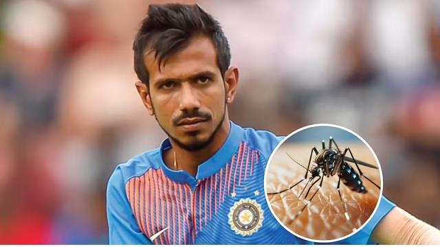 डेंगू और चिकनगुनिया की दोहरी मार से जूझ रहे युजवेंद्र चहल, जानिए कितनी गंभीर है यह बीमारी