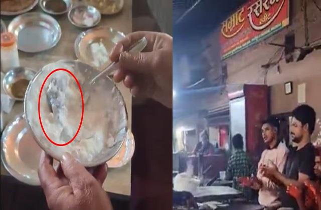 इस शहर के मशहूर ढाबे में दही में मिला मरा हुआ ये जानवर, Video देखकर हो जाएंगे हैरान...