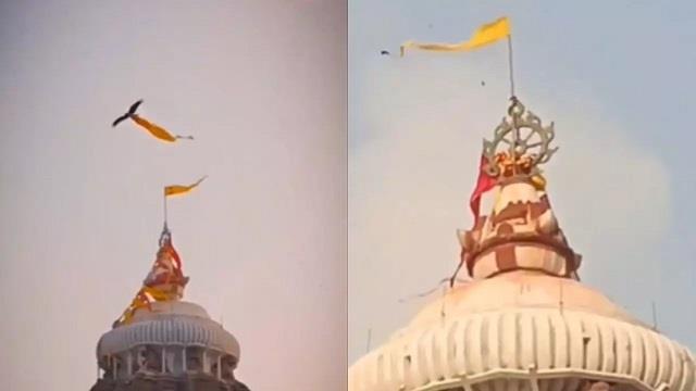 पुरी के जगन्नाथ मंदिर पर गरुड़ का अनोखा वीडियो वायरल, श्रद्धालुओं ने इसे भविष्य के संकेत से जोड़ा!