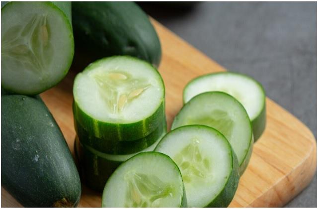 ये लोग न खाएं खीरा! खाने के बाद नहीं मिलेगा फायदा, उलटा होगा नुकसान