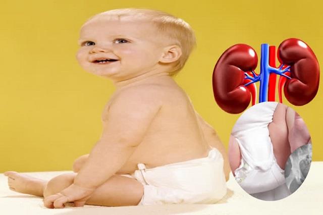 क्या डायपर पहनाने से खराब हो जाती है बच्चों की किडनी? जानें इस वायरल दावे की सच्चाई
