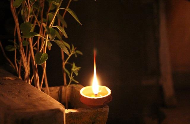 क्या सुबह-शाम की पूजा के बाद हर पेड़ के पास दीया जलाना चाहिए? जानें यहां