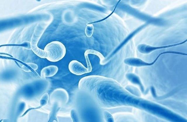 नई स्टडी में खुलासा: कम स्पर्म काउंट वालों में मौत का खतरा ज्यादा, जानिए क्यों?