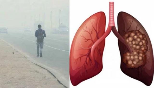 स्मॉग और कोहरे का असर? बस ये चीजें खाएं और फेफड़ा रहेगा साफ