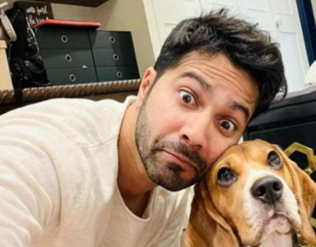 एक्टर वरुण धवन के परिवार पर टूटा दुखों का पहाड़, पेट डॉग का हुआ निधन