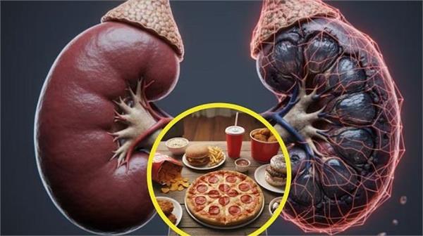 किडनी को ‘सड़ने’ से बचा सकती हैं ये 10 सब्जियां, कर लें डाइट में शामिल