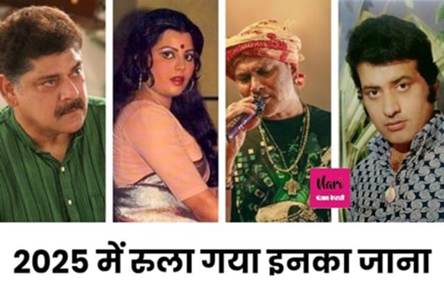 2025 Year Ender:  धमेंद्र, शेफाली जरीवाला के अलावा इन सितारों के जाने से भी राेया पूरा देश