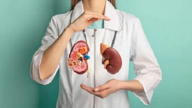 किडनी फेल, High BP और हड्डियों का टूटना... इस चीज़ से हो सकती है ये सारी समस्याएं!