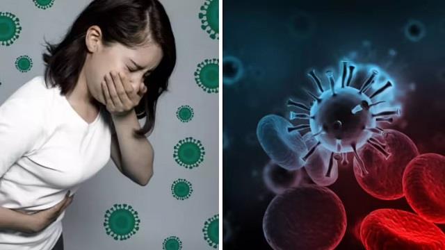 Coronavirus के बाद अब नोरोवायरस का कहर: अमेरिका में तेजी से फैला, अलर्ट जारी!