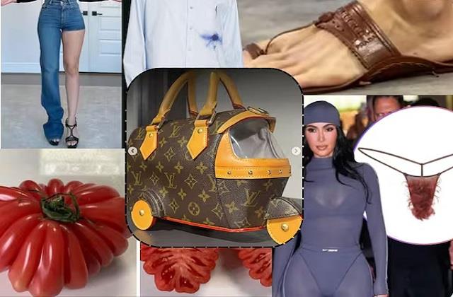 35 लाख का बैग और 69 हजार की सेफ्टी पिन! 2025 के सबसे अजीब फैशन launches
