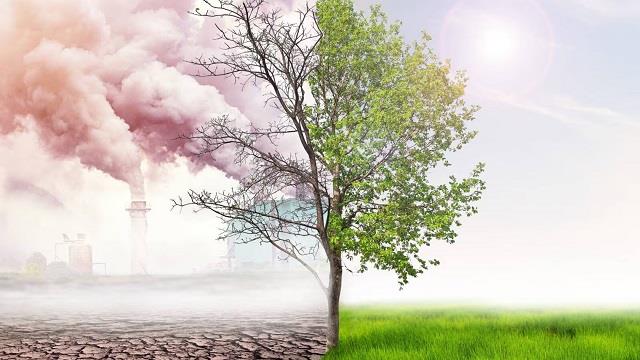 बढ़ते Pollution में बच्चों को हो रही हैं पेट से जुड़ी समस्याएं तो Parents ऐसे करें Care