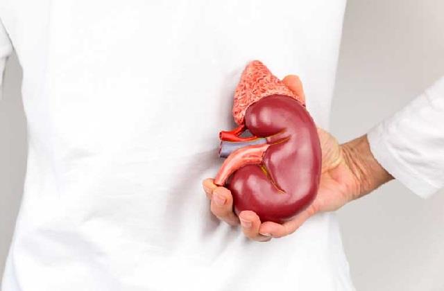 साइलेंट किलर है Kidney cancer, भनक तक नहीं लगती और गुर्दा अंदर से हो जाता है खोखला