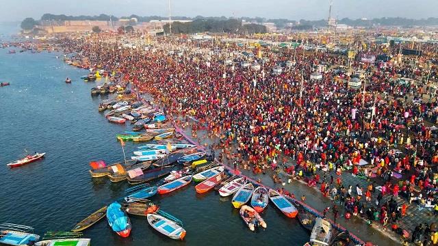 हम इंसानी कीड़े