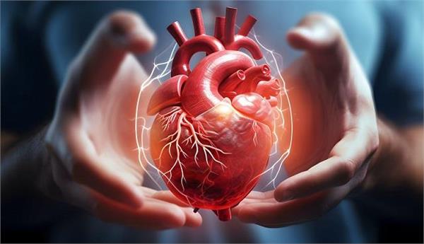 दिल की बीमारी से दुनियाभर में 3.5 लाख मौतें, रिसर्च में सामने आई चौंकाने वाली वजह