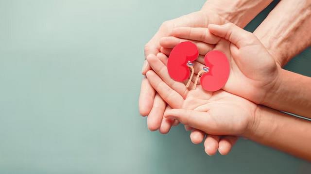 दिल और किडनी का ख्याल रखना है तो खाएं ये खास चीज, डॉक्टरों की भी है यही सलाह!