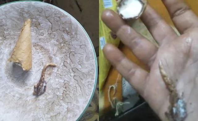 सावधान! मामला चौकाने वाला, Havmor की आइसक्रीम कोन में निकली मरी छिपकली, बिगड़ी तबीयत