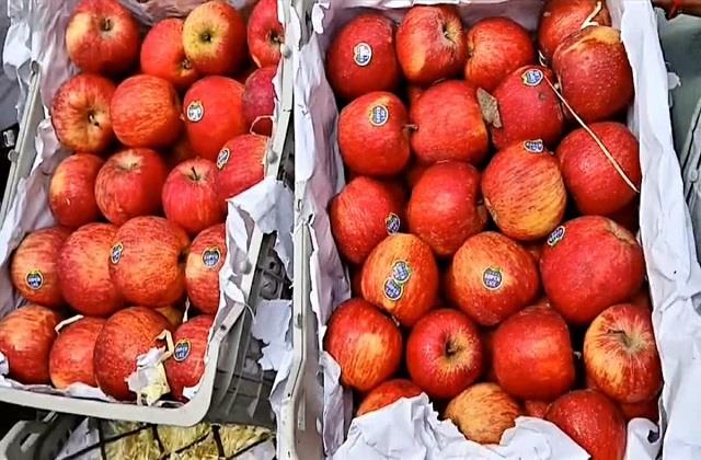 Turkey के सेब को ना खाएंगे ना लाएंगे.... पाकिस्तान के दोस्त को भारतीयों ने सिखाया अच्छा सबक