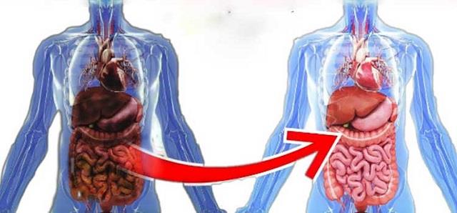 5 संकेत जो बताते हैं कि शरीर में भर चुकी है गंदगी- जानिए कैसे करें पहचान
