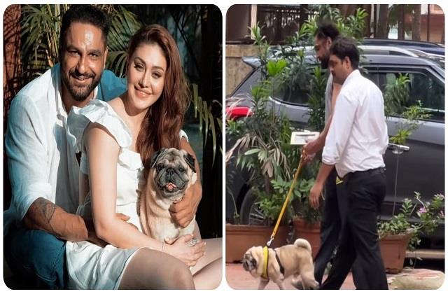 शेफाली जरीवाला के निधन से बुरी तरह टूटे पराग, हाथ में बीवी की फोटो लिए घुमते दिखे सड़कों पर