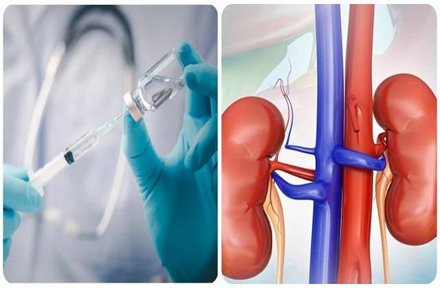 Kidney Patient के लिए वरदान साबित हुई Corona Vaccine, यहां पढ़ें पूरी स्टडी