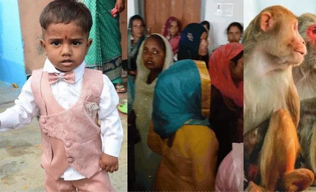 बंदरों पर फेंकी कुल्हाड़ी, बेटे की गर्दन कटी, पिता के हाथों ढाई साल के इकलौते बेटे की मौत