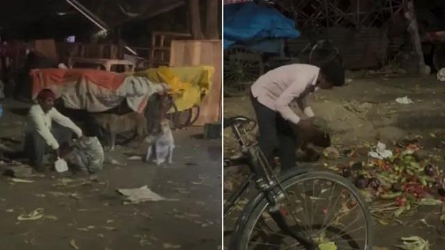हाय गरीबी! रात में सड़क किनारे फेंकी सब्जियां उठाते दिखे पिता और बेटा, देख पसीज उठेगा दिल