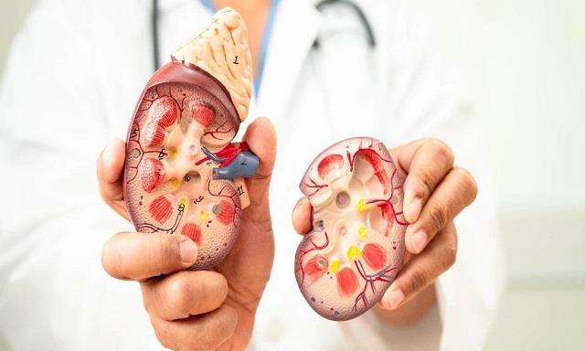 ज्यादा पानी पीना Kidney को कैसे कर देता है खराब? जानकर हैरान रह जाएंगे आप