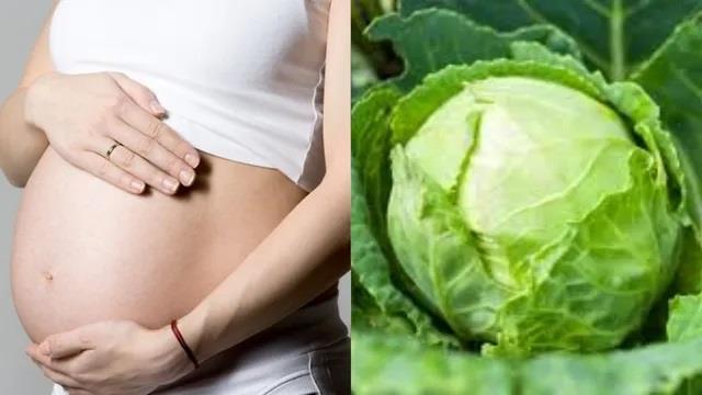 पेट में लड़का है या लड़की? पत्ता गोभी से पता लगाने का वायरल हो रहा है ये अजीब सा ट्रेंड